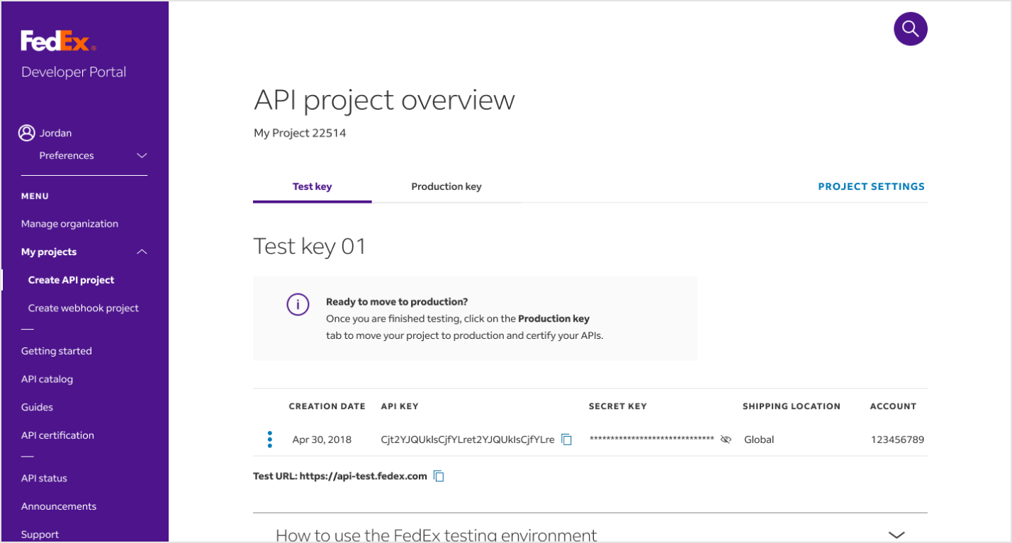 API project overview