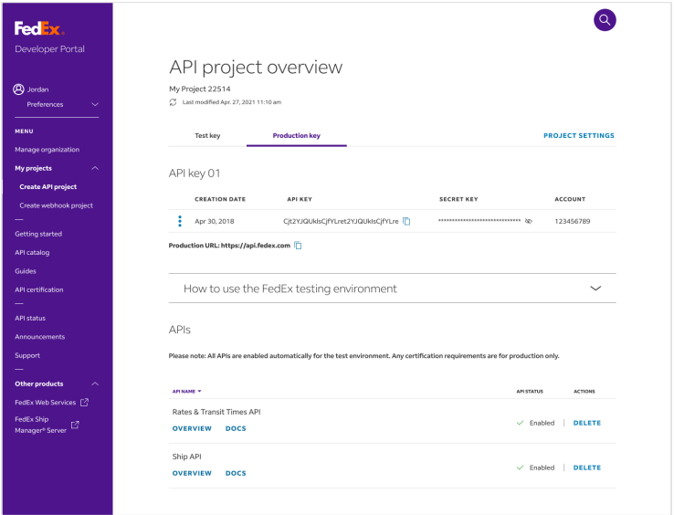 API project overview tab2